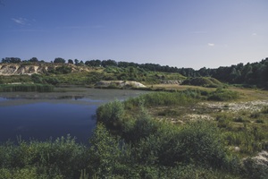 Honerdinger Schweiz - 19.06.2025
