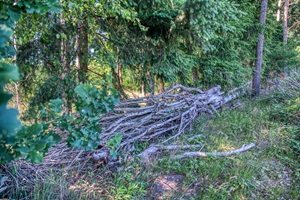 Honerdinger Schweiz