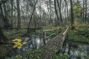 Brücke Jerichower Schweiz