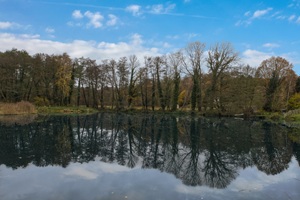 Gloine See
