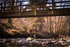 Brücke Nister Kroppacher Schweiz