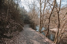 Weg entlang der Nister Kroppacher Schweiz