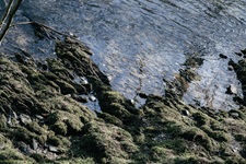 Ufer Nister