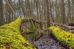 Sutschketal Krummenseer Schweiz