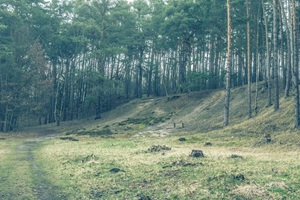 Sutschketal