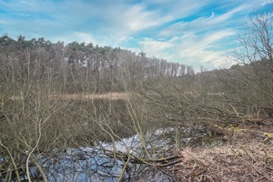 Sutschkeweiher