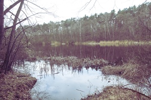 Sutschkeweiher