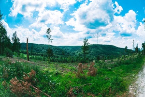 Aussicht lippische Schweiz