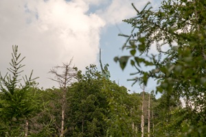 Hermannsdenkmal lippische Schweiz
