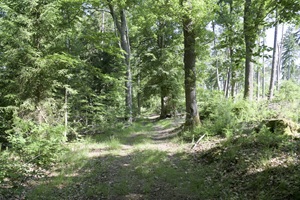 Wanderweg Lopauer Schweiz