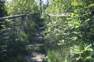Treppe Lopauer Schweiz