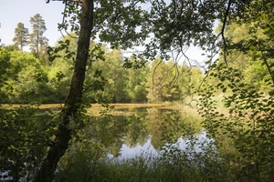 Teich Lopauer Schweiz