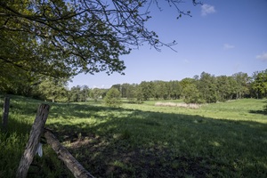 Ausblick Lübzower Schweiz