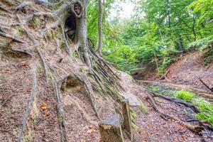 Lüneburger Schweiz Mühlenbachtal