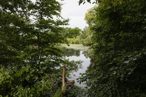 Hasenburger Teich