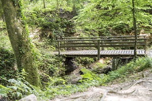 Brücke Luxemburgische Schweiz