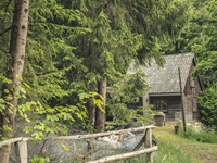 Waldhütte Madfeld