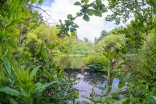 Teich Madfeld