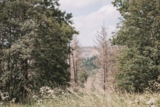 Ausblick Madfelder Schweiz