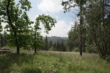 Ausblick Madfeld