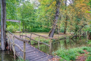 Brücke Schlosspark Buckow