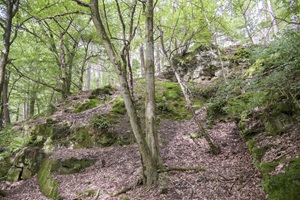 Maibacher Schweiz