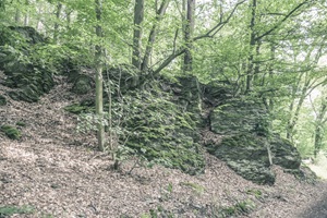 Felsformation Maibacher Schweiz