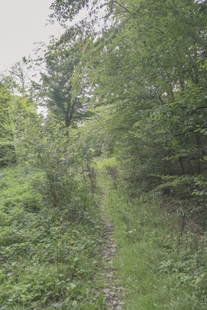 Wanderweg Maibacher Schweiz