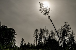 Maibacher Schweiz - 03.09.2023