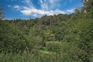 Ausblick Maibacher Schweiz