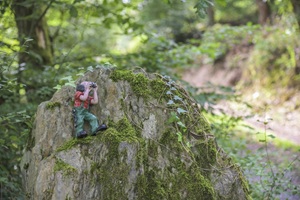 Maibacher Schweiz