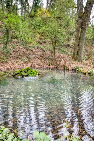 Teich Maringer Schweiz