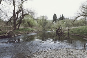 Lieser Maringer Schweiz