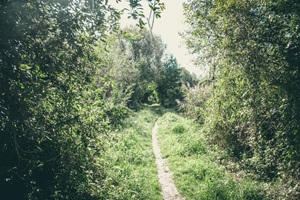 Wanderweg Sauerwerder Teterow
