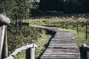 Wildpark MV Güstrow