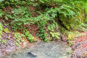 Mehringer Schweiz Reifen Müll