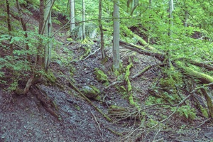 Mehringer Schweiz - 08.06.2025