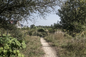 Wanderweg Mosigkauer Schweiz