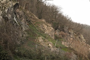 Neuenheimer Schweiz Felsen