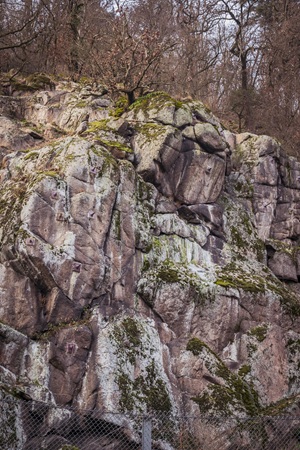 Granitfelsen Neuenheimer Schweiz