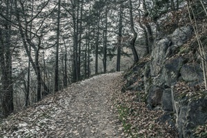 Wanderweg Neueheimer Schweiz Heidelberg