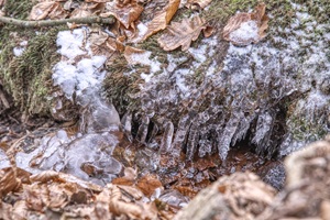 Eiszapfen Neuenheimer Schweiz