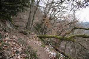 Wanderweg Neuenheim Heidelberg