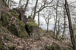 Neuenheimer Schweiz - 18.12.2022