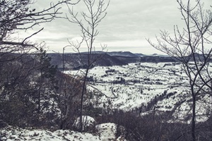 Ausblick Neuffener Schweiz