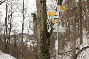 Wegweiser Neuffener Schweiz