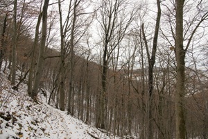 Wanderweg Neuffener Schweiz