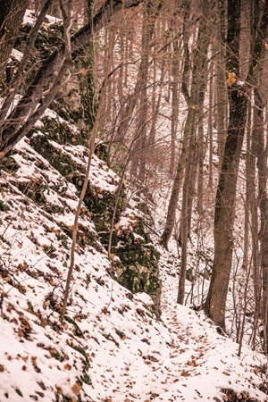 Wanderweg Hohenneuffen