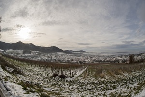 Blick auf die Neuffener Schweiz