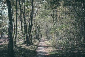 Wanderweg Niedergrafschafter Schweiz